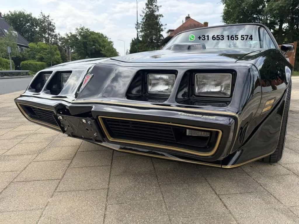 Pontiac Firebird 6.6 FW 87 Trans Am 01/1980-photo-5
