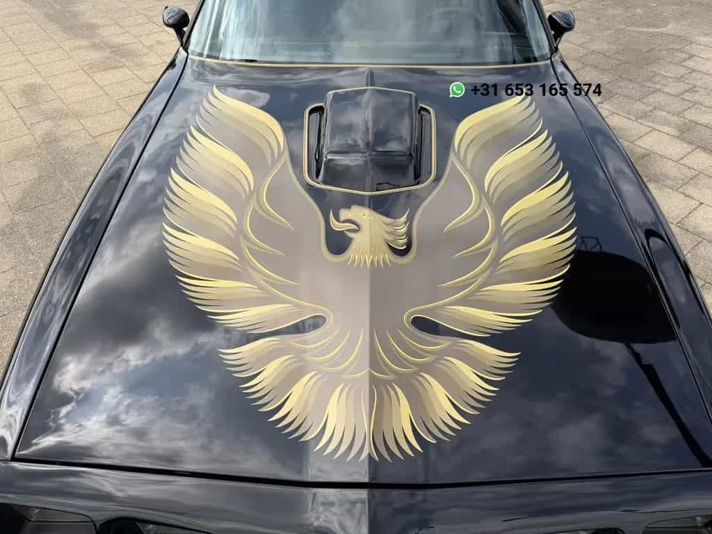 Pontiac Firebird 6.6 FW 87 Trans Am 01/1980-photo-6