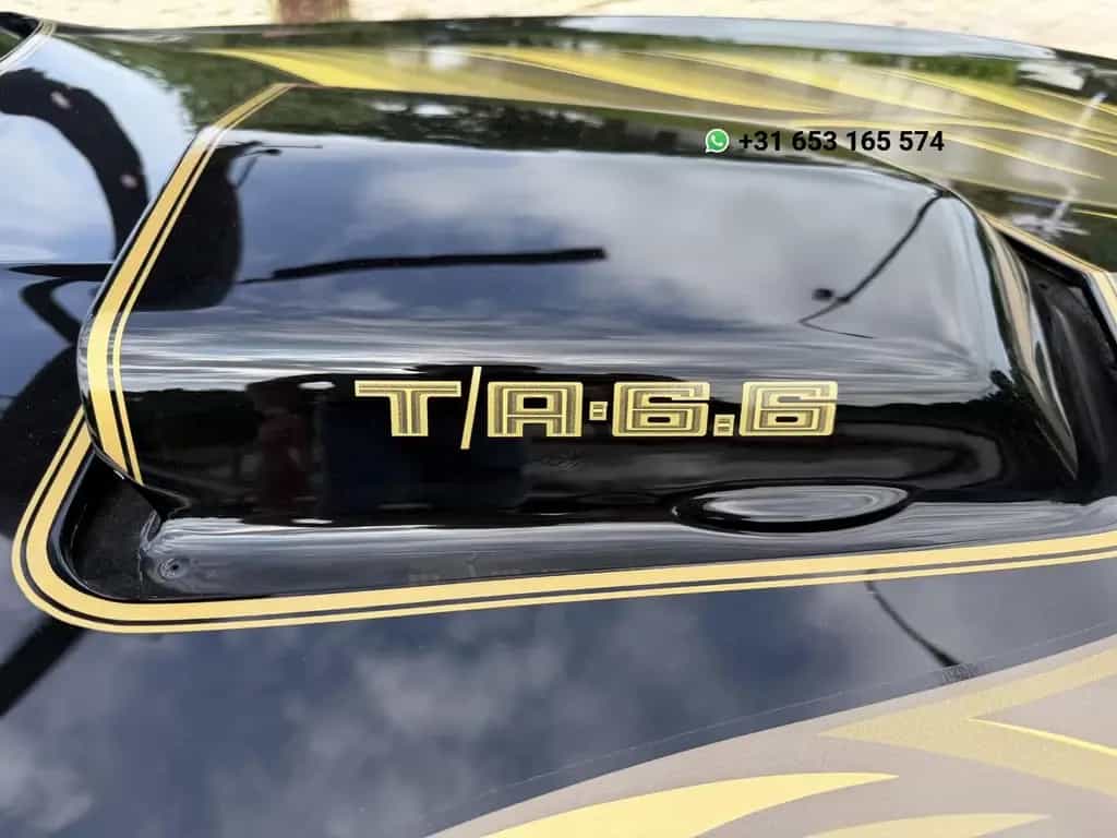 Pontiac Firebird 6.6 FW 87 Trans Am 01/1980-photo-7