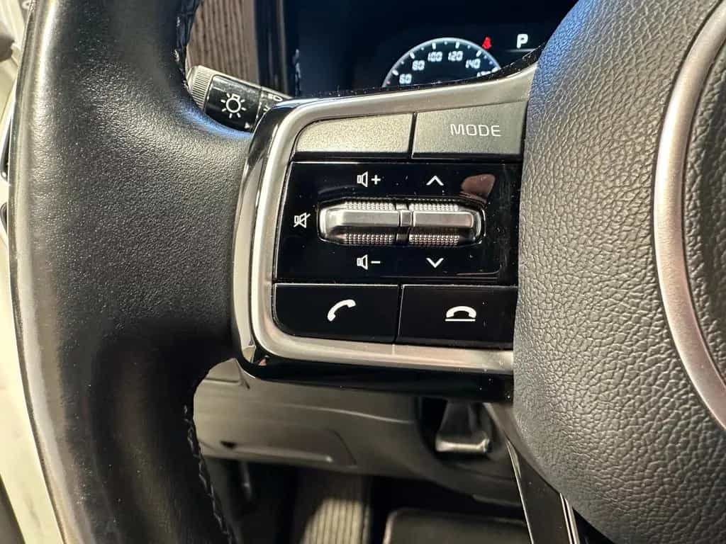 Kia Sorento 2.2 CRDi DCT Platinum 4WD AHK|Navi|LED|R 12/2020-photo-13