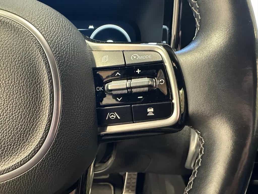 Kia Sorento 2.2 CRDi DCT Platinum 4WD AHK|Navi|LED|R 12/2020-photo-14