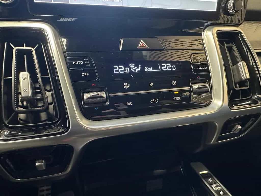 Kia Sorento 2.2 CRDi DCT Platinum 4WD AHK|Navi|LED|R 12/2020-photo-19