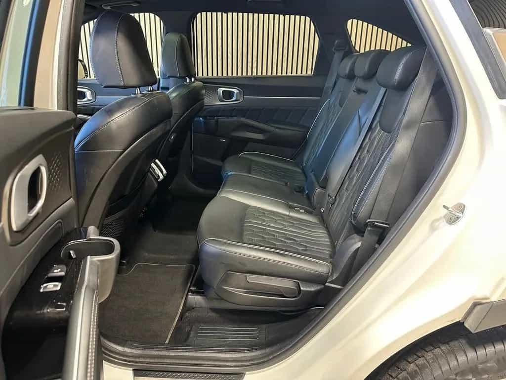Kia Sorento 2.2 CRDi DCT Platinum 4WD AHK|Navi|LED|R 12/2020-photo-20