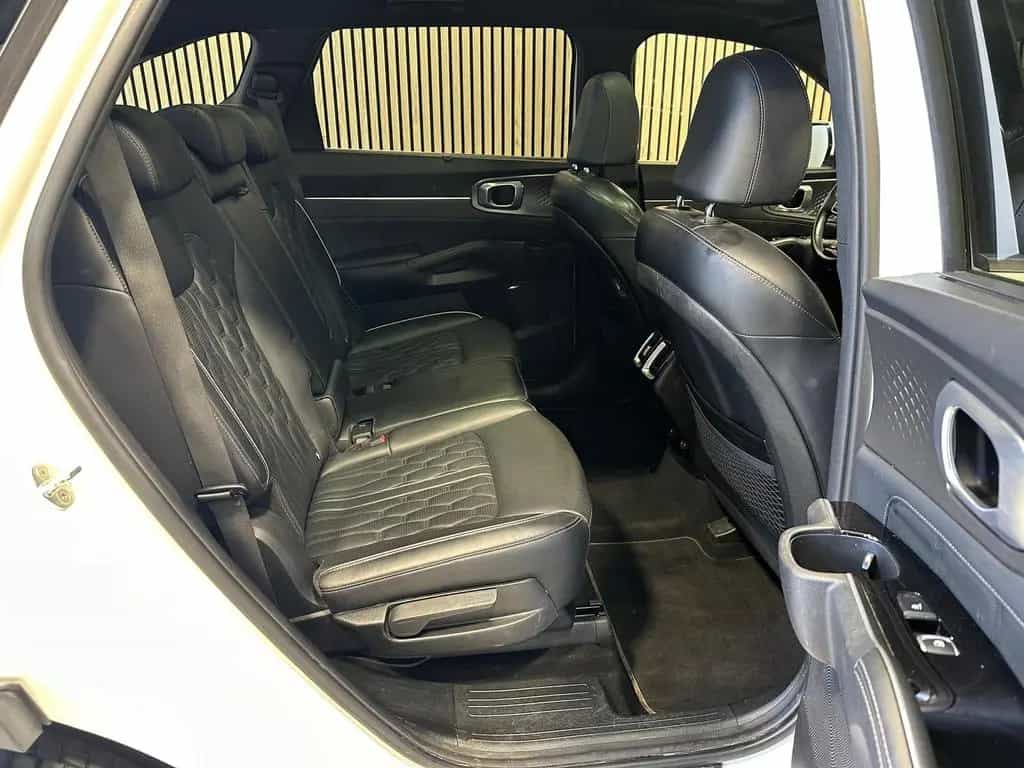 Kia Sorento 2.2 CRDi DCT Platinum 4WD AHK|Navi|LED|R 12/2020-photo-21