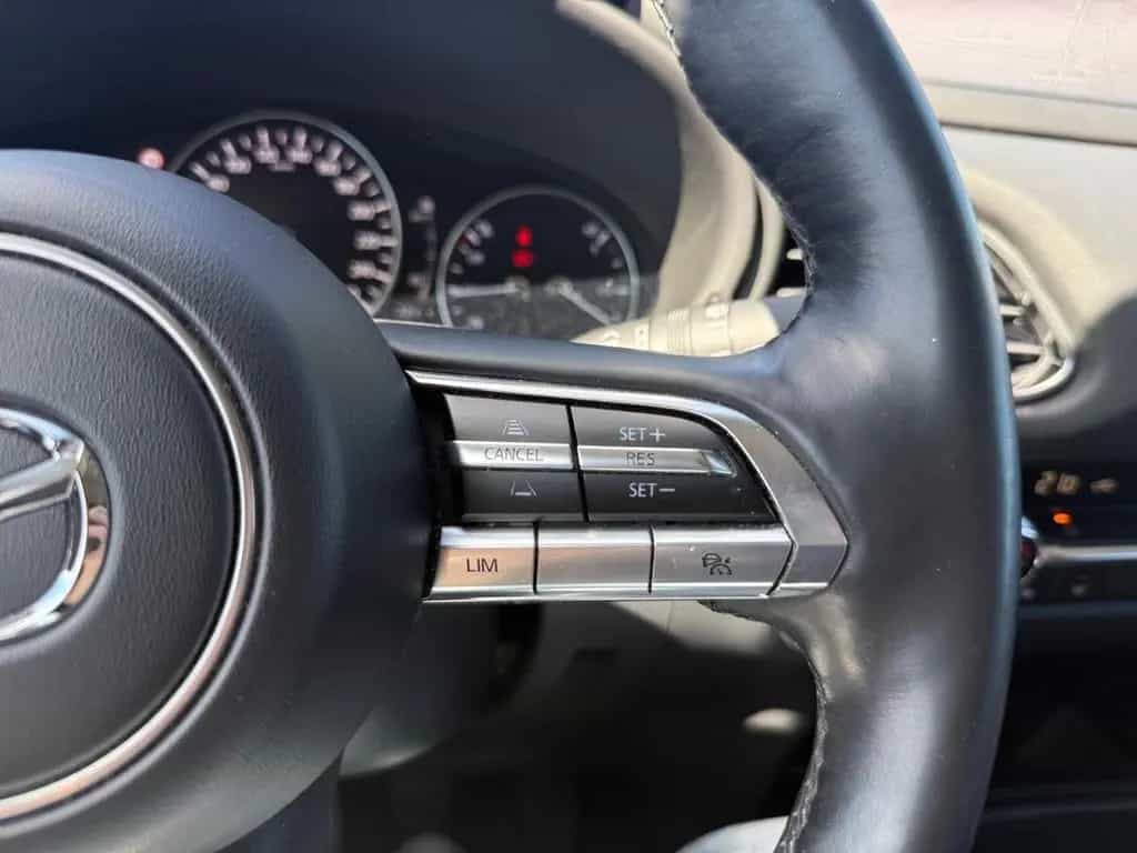 Mazda CX-30 2.0 SKYACTIV-G M Hybrid Selection Navi ACC 01/2022-photo-26