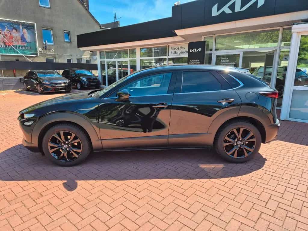 Mazda CX-3 0 Nagisa 2WD Automatik*Head-Up*Leder*Kamera* 02/2024-photo-7