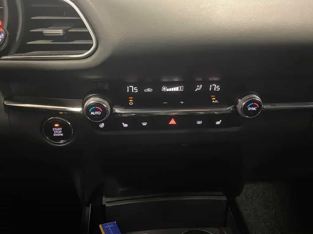Mazda CX-30 APP+KLIMA+RFK+PDC+NAVI+SITZHEIZ+Head-Up+An 10/2019-photo-23