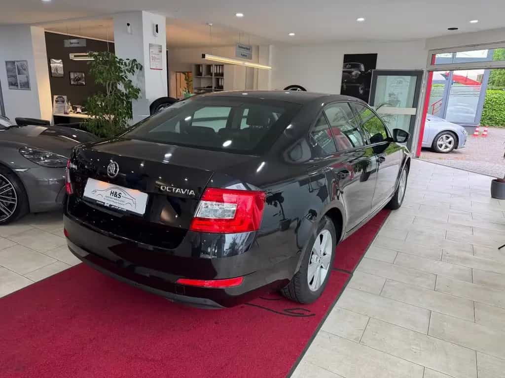 Skoda Octavia Elegance Green-tec*PDC*SHZ 09/2014-photo-6