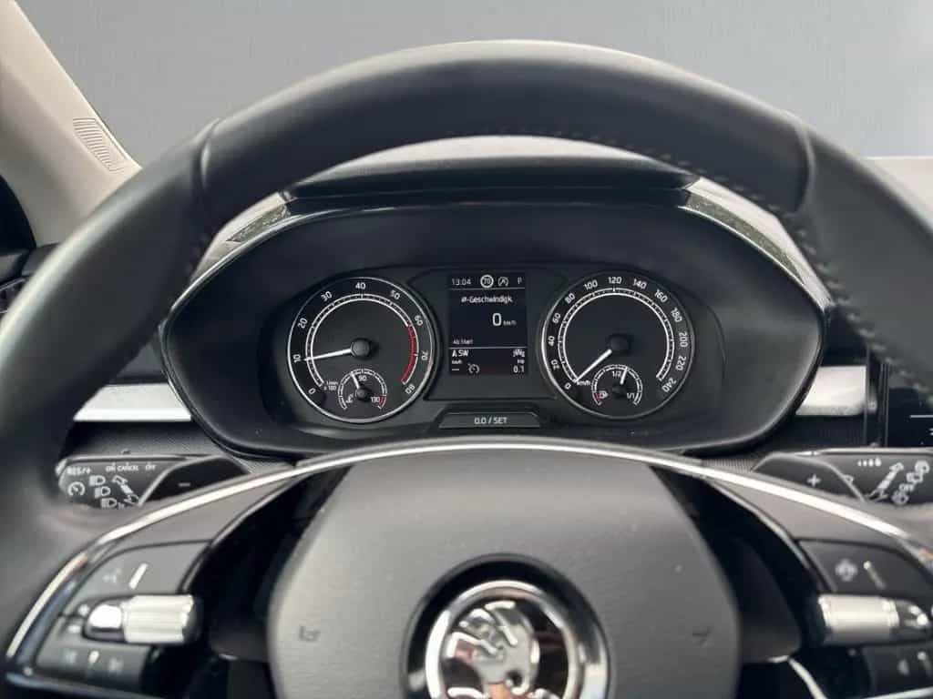 Skoda Fabia 1.0 TSI DSG Ambition Navi Tempo SHZ PDC 06/2022-photo-14