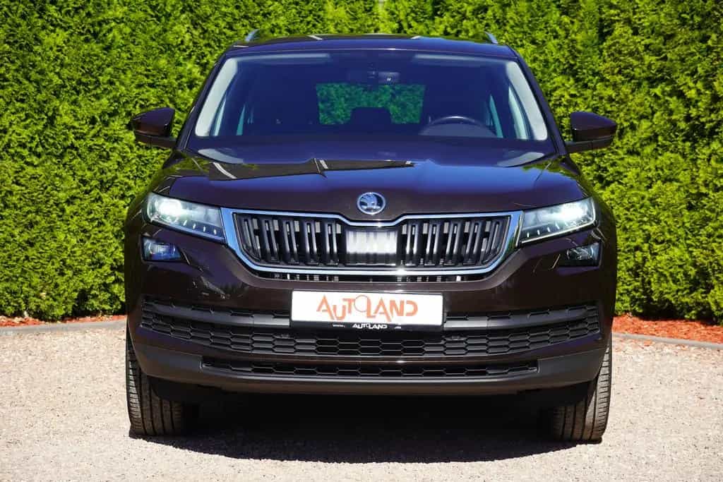 Skoda Kodiaq 2.0 4x4 DSG AHK Memory Soundsystem 01/2018-photo-6