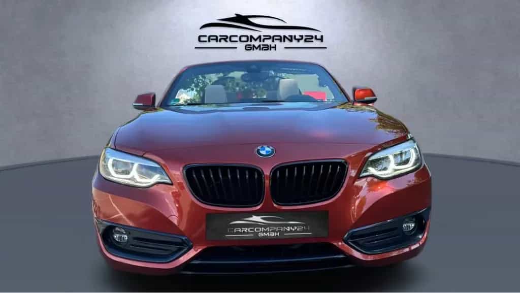 BMW 220 i Cabrio Sport Line Aut,Leder,Navi,LCI,LED,SH 06/2021-photo-10