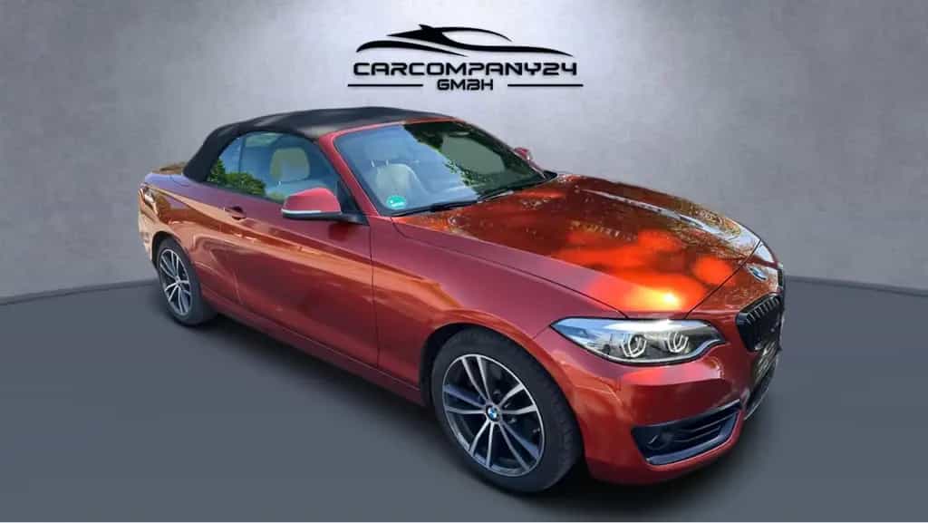 BMW 220 i Cabrio Sport Line Aut,Leder,Navi,LCI,LED,SH 06/2021-photo-11