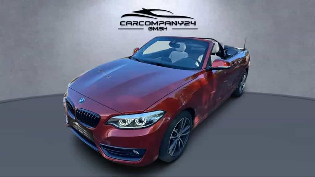 BMW 220 i Cabrio Sport Line Aut,Leder,Navi,LCI,LED,SH 06/2021-photo-13