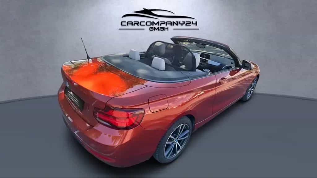 BMW 220 i Cabrio Sport Line Aut,Leder,Navi,LCI,LED,SH 06/2021-photo-6
