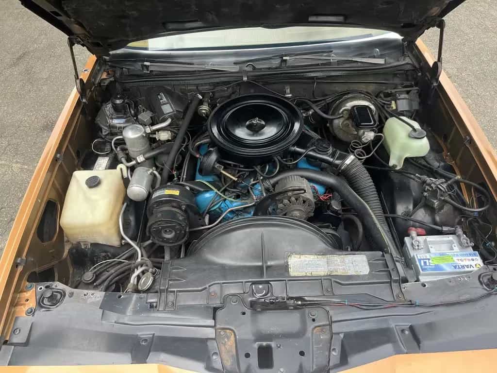 Pontiac Other Grand Prix 5,0 V 8 * Schweizer Fahrzeug * 03/1978-photo-15