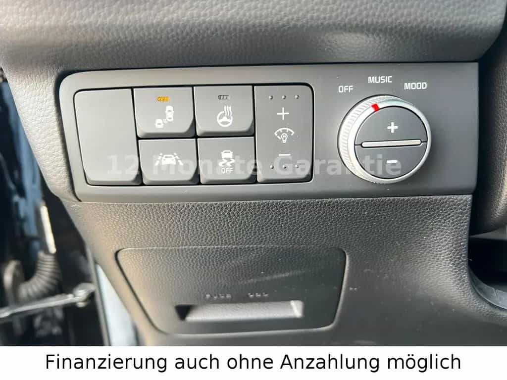 Kia Soul 1.6 TGD Turbo Final Edition * Viele Extras 01/2019-photo-31