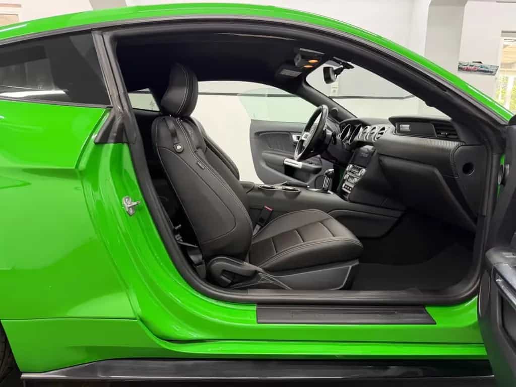 Ford Mustang 2.3 Eco Shelby GT-500 Kit/ Spinel Green/ 07/2019-photo-12