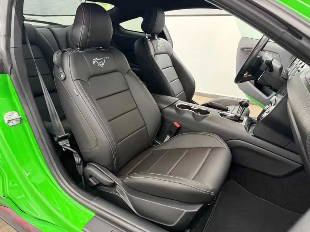Ford Mustang 2.3 Eco Shelby GT-500 Kit/ Spinel Green/ 07/2019-photo-15