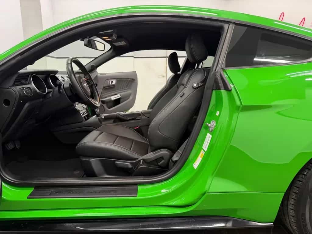 Ford Mustang 2.3 Eco Shelby GT-500 Kit/ Spinel Green/ 07/2019-photo-16