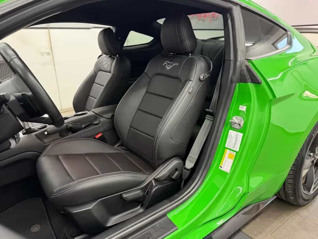 Ford Mustang 2.3 Eco Shelby GT-500 Kit/ Spinel Green/ 07/2019-photo-20