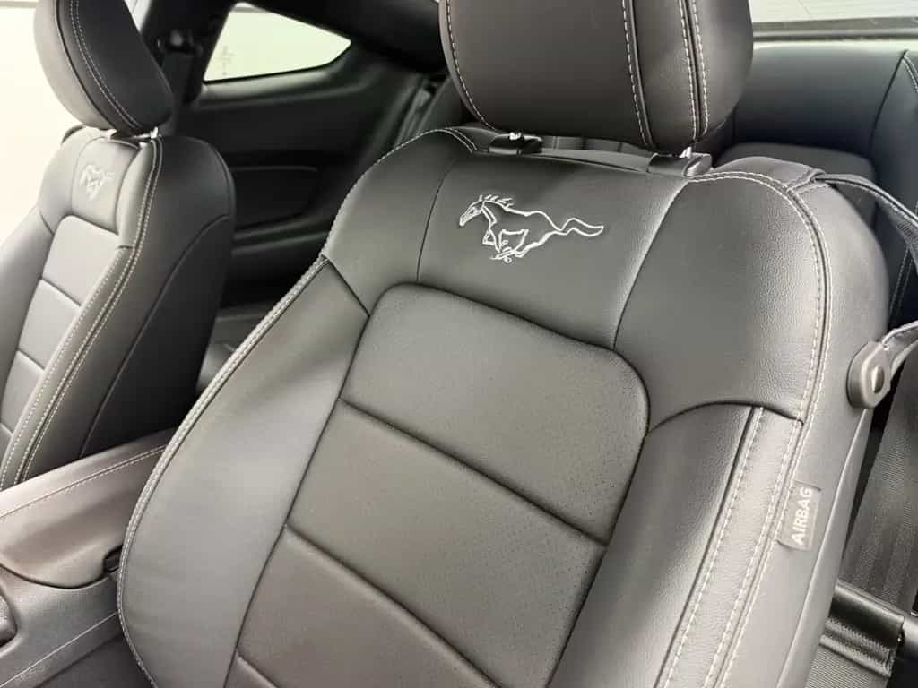Ford Mustang 2.3 Eco Shelby GT-500 Kit/ Spinel Green/ 07/2019-photo-21