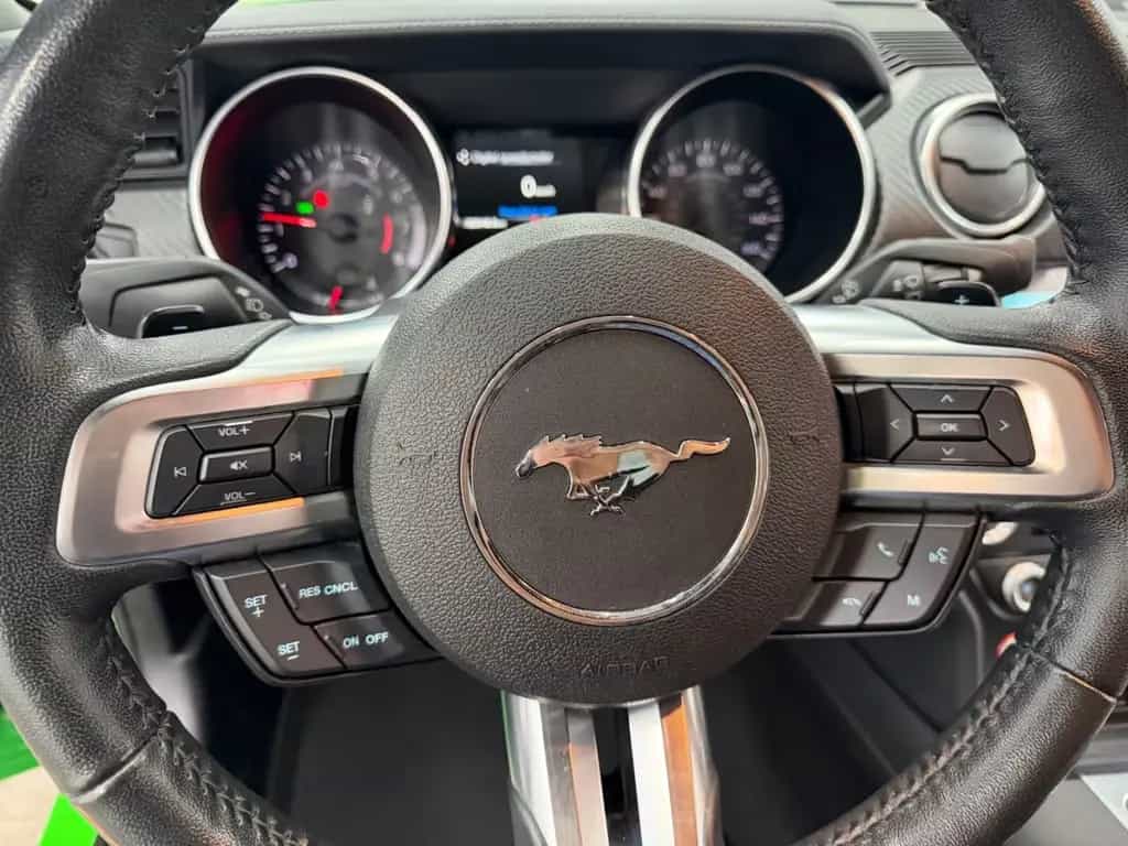 Ford Mustang 2.3 Eco Shelby GT-500 Kit/ Spinel Green/ 07/2019-photo-25