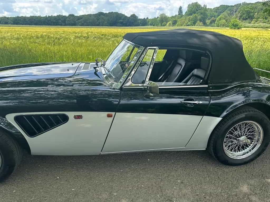 Austin Healey Other HMC Sportscars MK IV, 3.9 L, V8 01/1999-photo-11