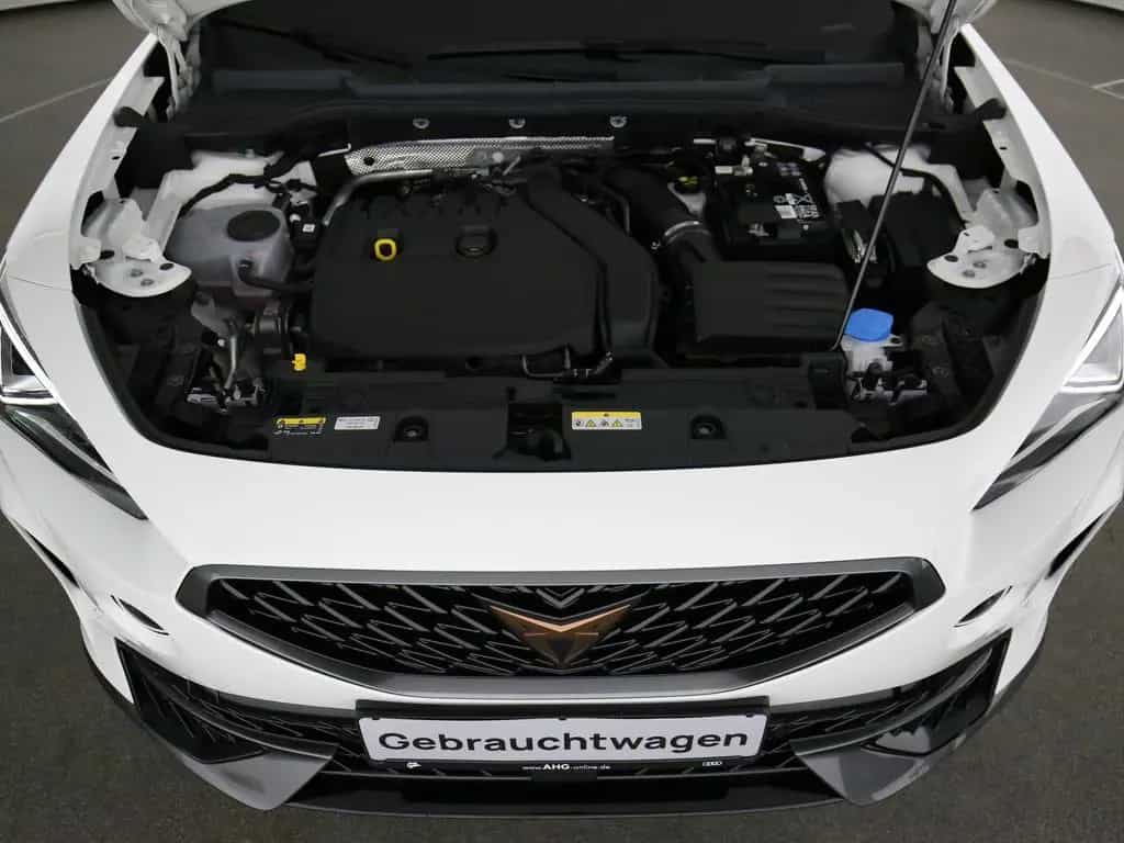 Cupra Formentor 1.5 TSI DSG  LED ACC Kamera Alufelgen 02/2024-photo-34