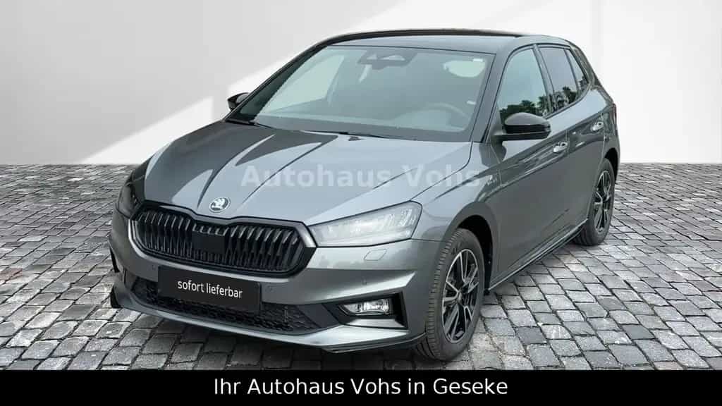 Skoda Fabia DSG Monte Carlo|LHZ|SHZ|KEYL|RFK|ACC|Link| 03/2026-photo-0
