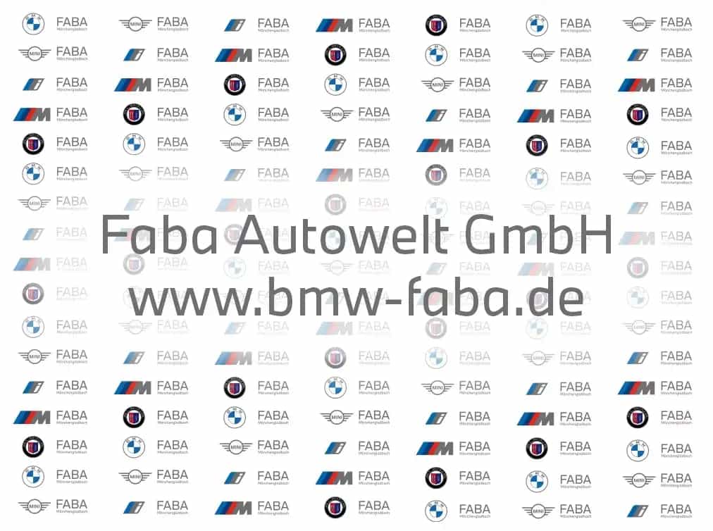 BMW 320 d Limousine Luxury Line Head-Up HK HiFi DAB 04/2021-photo-6