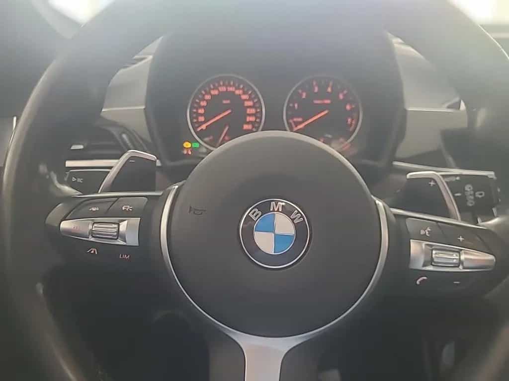 BMW X1 xDrive 20 i xLine Park-Assistent HUD Panorama 04/2017-photo-8
