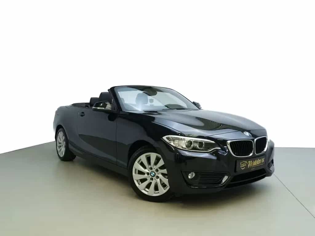 BMW 218 I Advantage LEDER*NAVI*XENON*TEMPO*SH 06/2016-photo-0