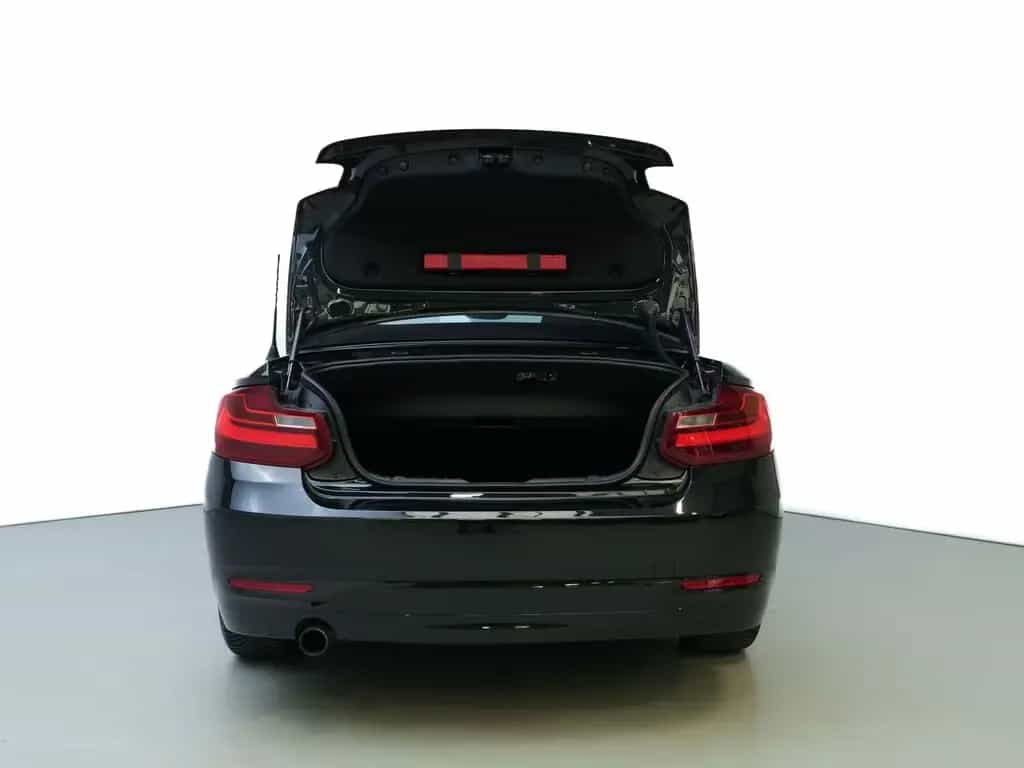 BMW 218 I Advantage LEDER*NAVI*XENON*TEMPO*SH 06/2016-photo-24