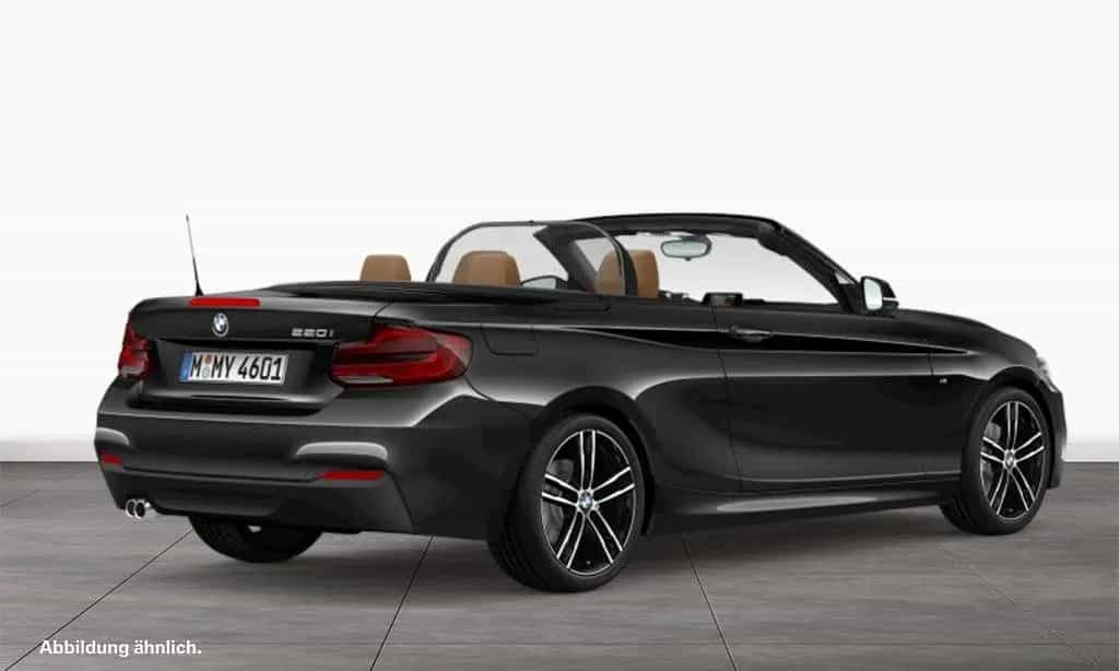 BMW 220 i Cabrio M Sport | Navi | adapt. LED | Leder 07/2019-photo-1