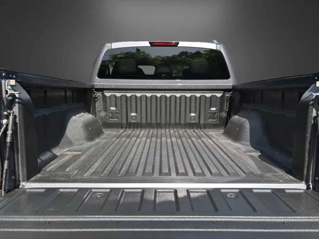 Foton 4 Ultra Pickup null-photo-12