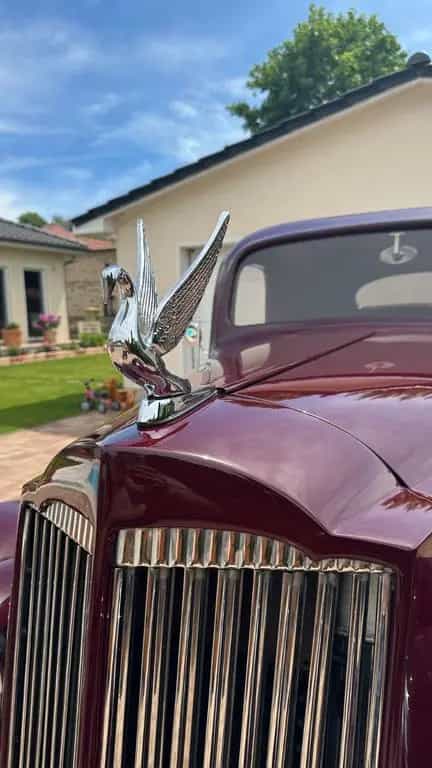 Packard Other 115  3 window Coupe 07/1937-photo-4