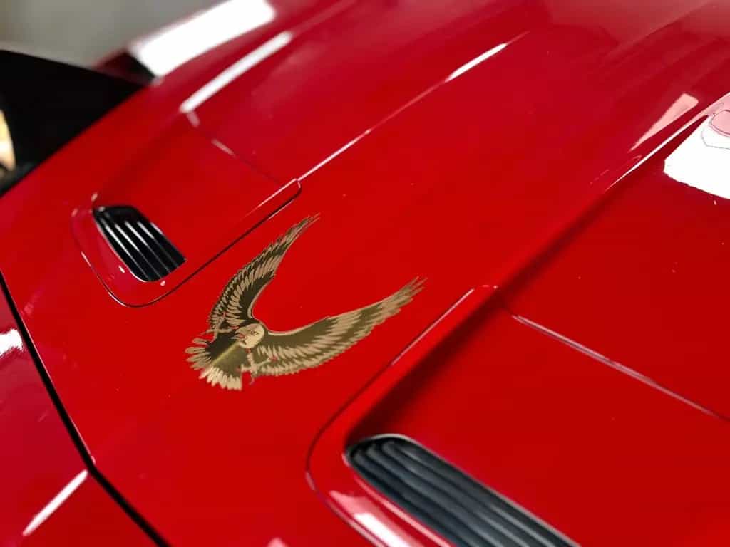 Pontiac Trans Am Firebird Trans Am V8 5.7 LITER Cabrio 04/1999-photo-23