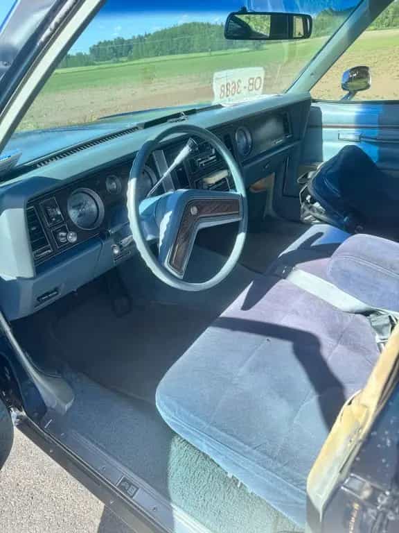 Buick Electra Estate Wagon 01/1979-photo-6