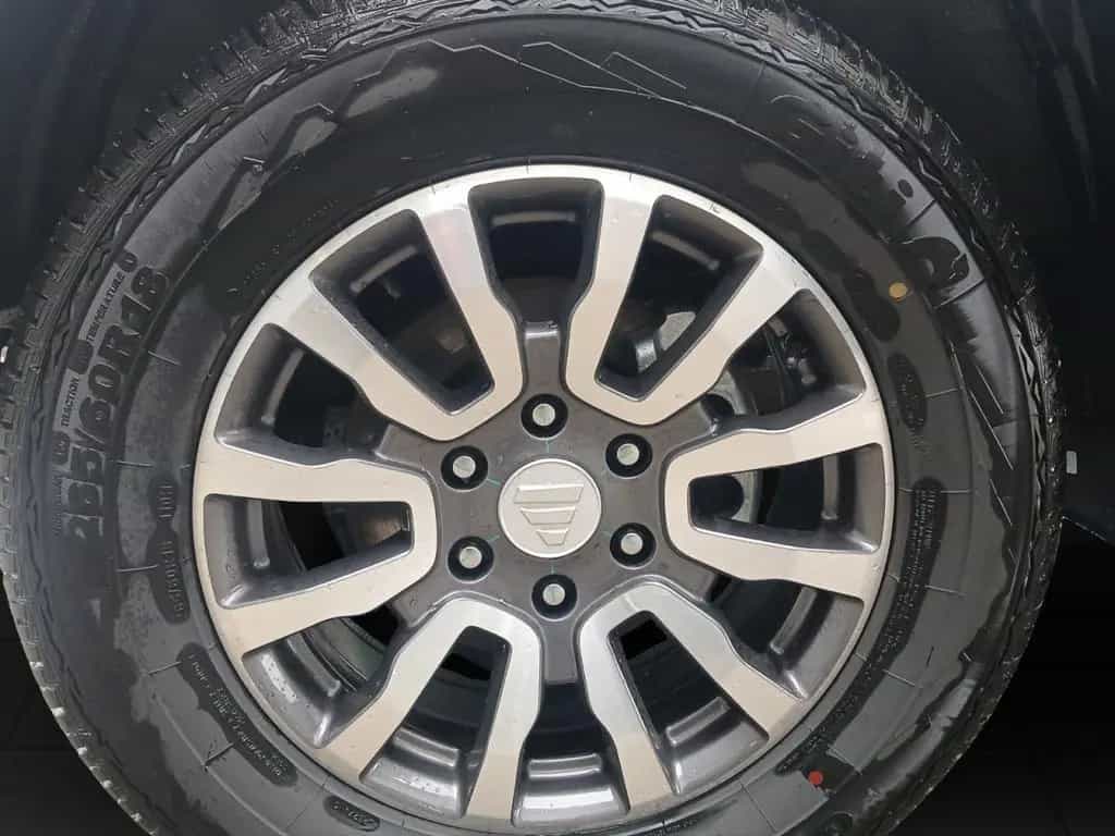 Foton 3 Pickup - 3 Jahre Garantie - Kamera uvm. null-photo-21