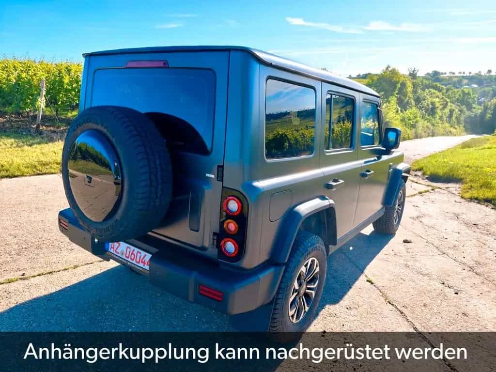 BAW 212 sofort verfügbar abgedunkelte Scheiben null-photo-14