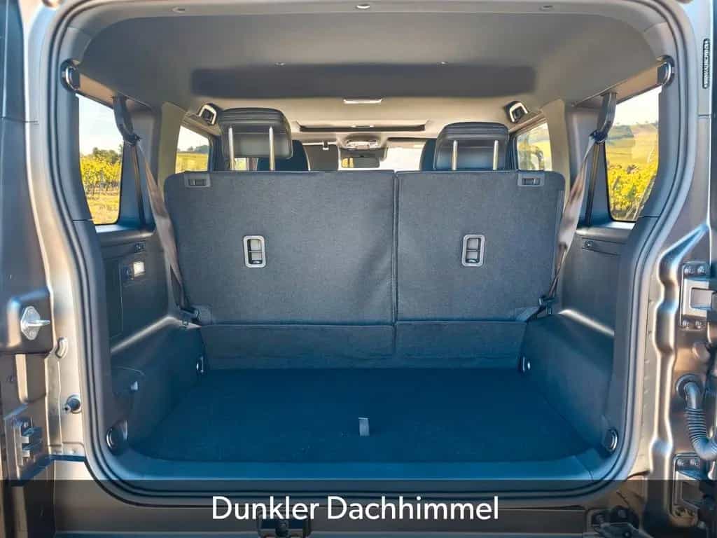 BAW 212 sofort verfügbar abgedunkelte Scheiben null-photo-29