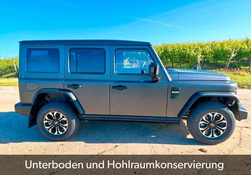 BAW 212 sofort verfügbar abgedunkelte Scheiben null-photo-8
