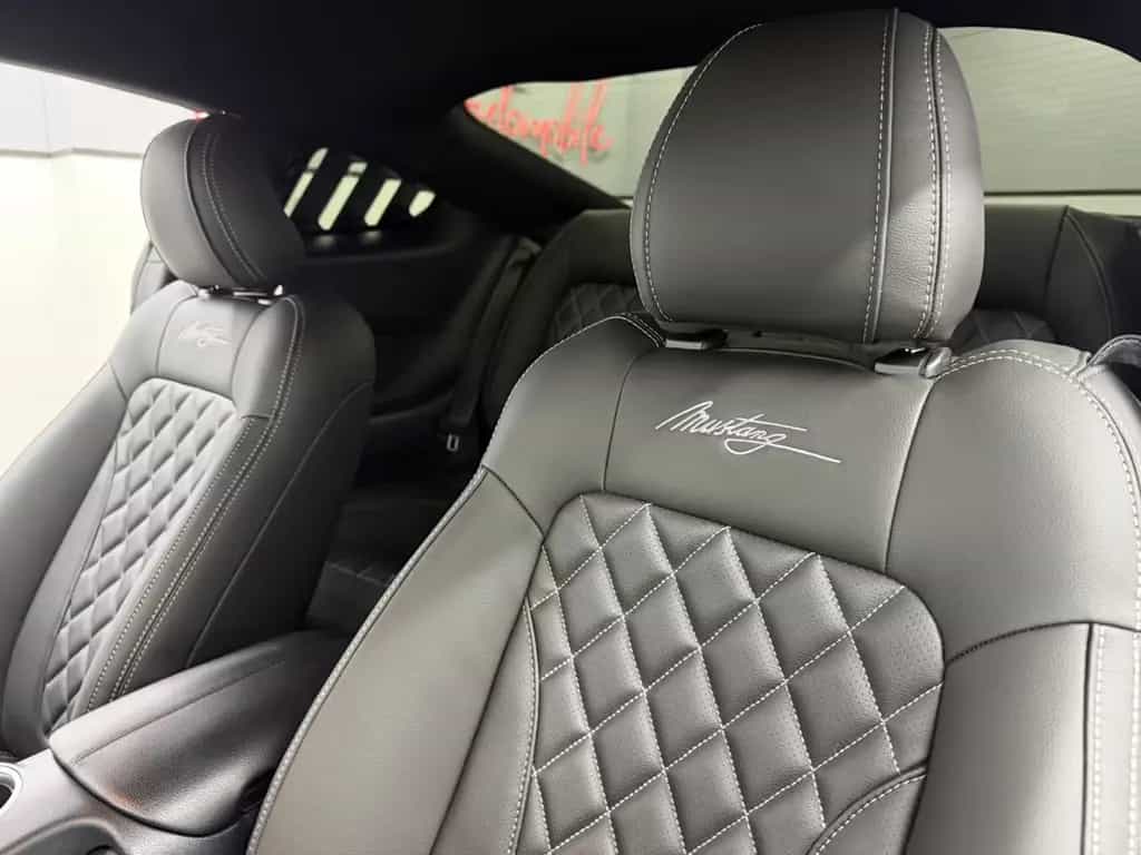 Ford Mustang 2.3 Eco/MY-25 Kit/Spur.h/Tot.W/Carplay/ 07/2022-photo-21