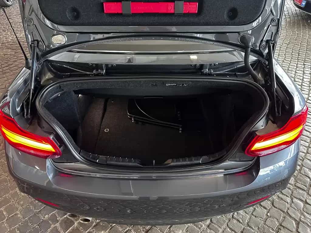 BMW 218 i Cabrio M Sport //LED//DAB// 10/2021-photo-20