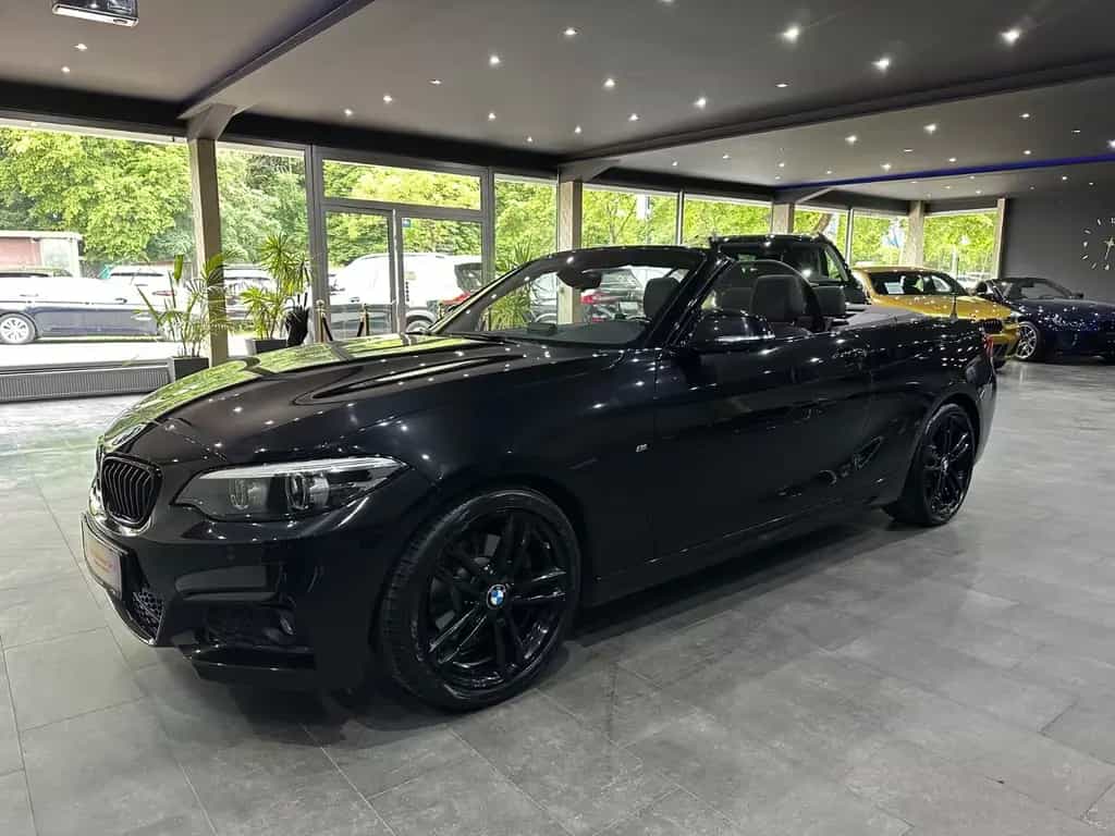 BMW 220 i M Sport Cabrio Sportautomatik /NAVI /  18" 07/2019-photo-0