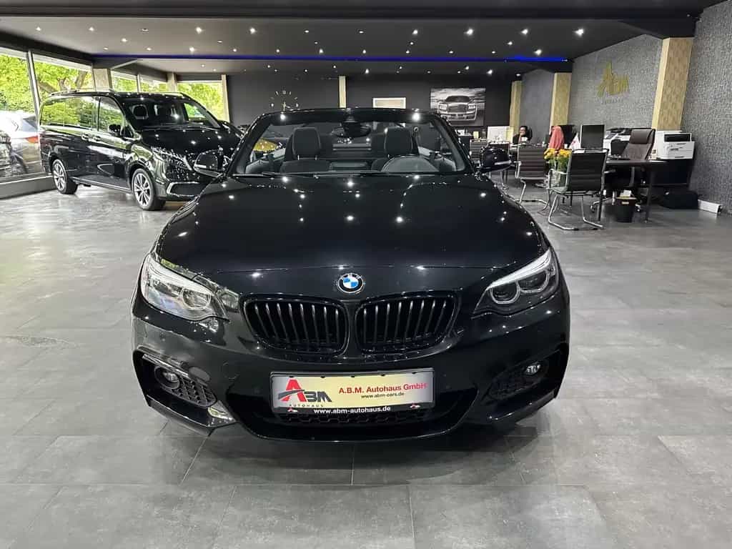 BMW 220 i M Sport Cabrio Sportautomatik /NAVI /  18" 07/2019-photo-1