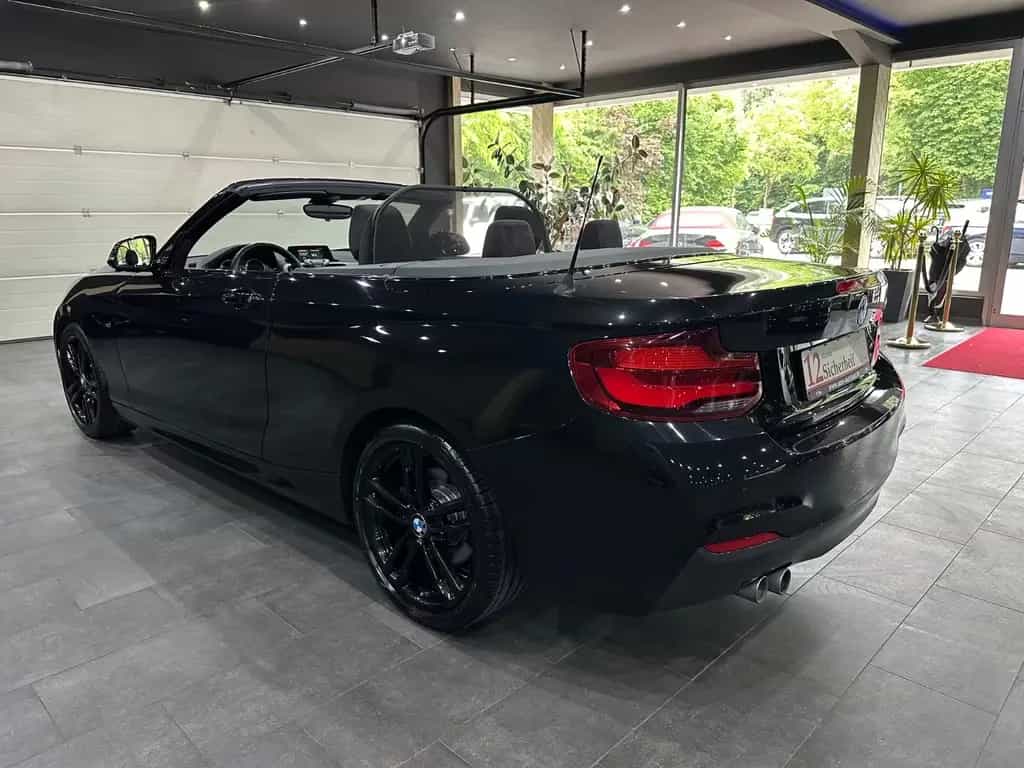 BMW 220 i M Sport Cabrio Sportautomatik /NAVI /  18" 07/2019-photo-3
