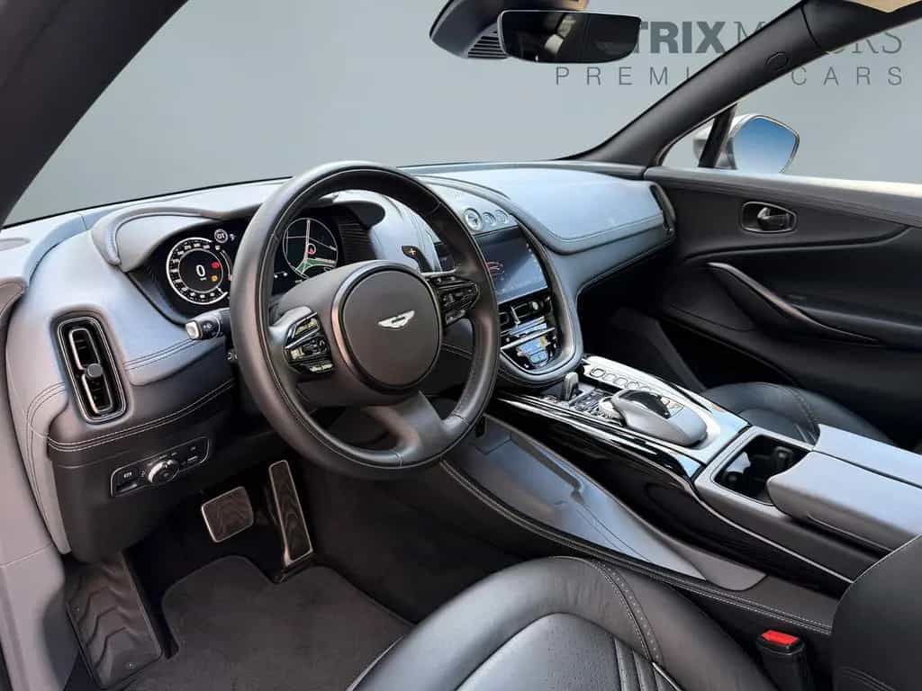 Aston Martin DBX NEWSERVICE Panorama Premium AudioSystem 01/2021-photo-14