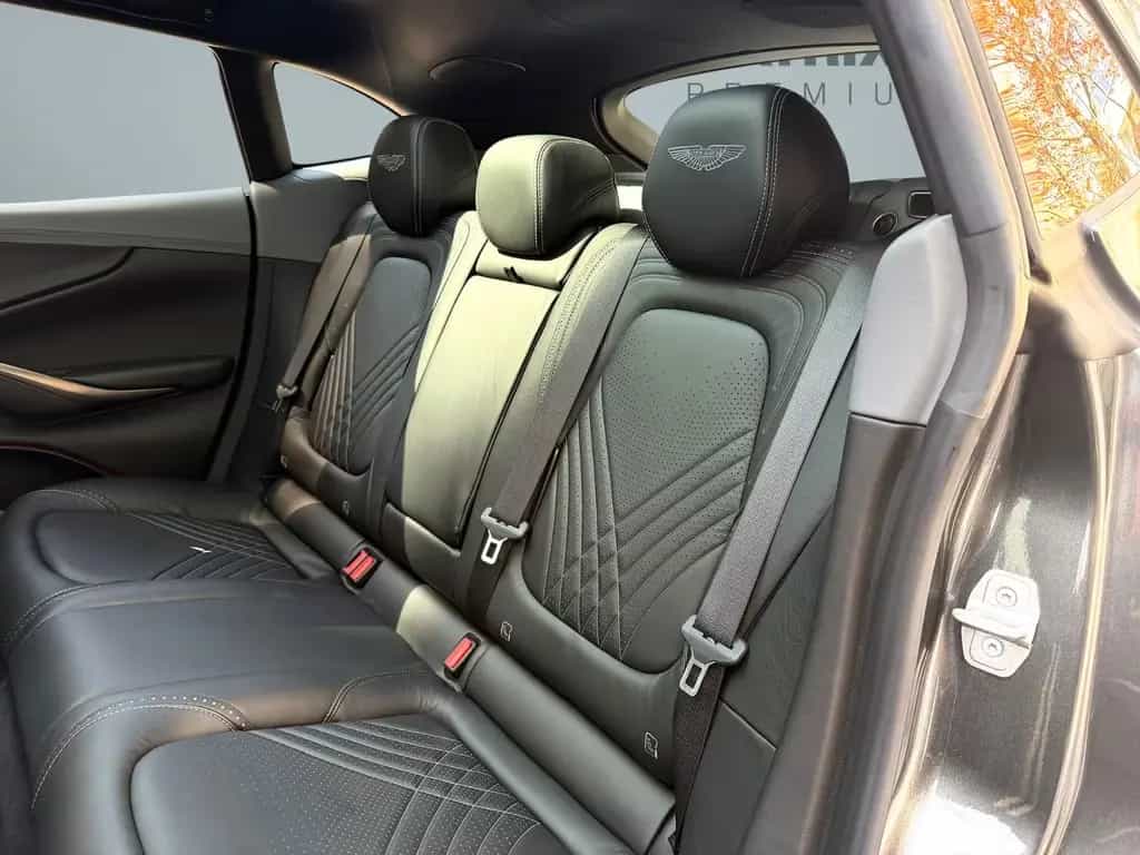 Aston Martin DBX NEWSERVICE Panorama Premium AudioSystem 01/2021-photo-7