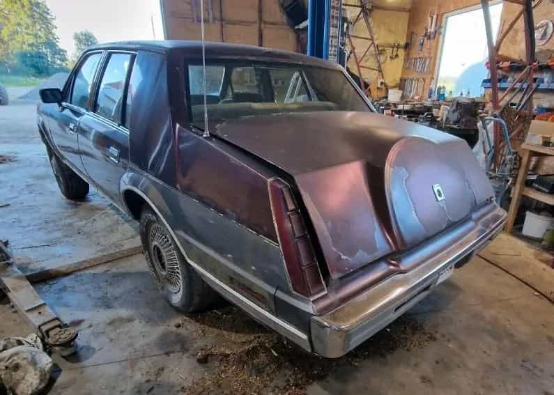 Lincoln Continental 2.4TD M21 07/1984-photo-12